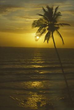 Zachód słońca na Goa