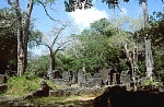 Ruiny średniowiecznego miasta suahilijskiego Gedi (93 KB)