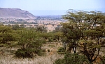 Krajobraz Wielkiego Rowu Afrykańskiego (95 KB)