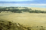 Krater Ngorongoro (72 KB)