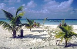 Plaża na Isla Mujeres (91 KB)