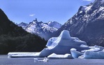 Góry lodowe na jeziorze Grey (53 KB)