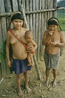 Trzy pokolenia Yanomami (33 KB)