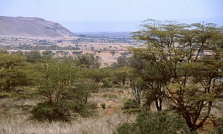 Wielki Rów Afrykański