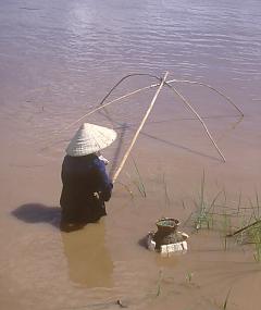 Życie na Mekongu