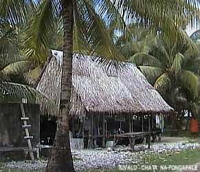 Tuvalu - chata na Fongafale