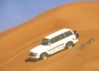 Safari na pustyni