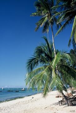 Plaża na północy wyspy Zanzibar