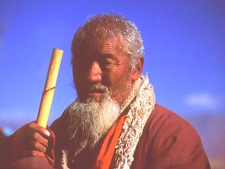 Stary Tybetańczyk
