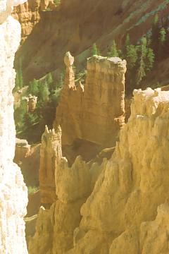 'Katedra' w parku narodowym Bryce Canyon